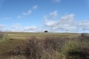 Plateau de Gergovie